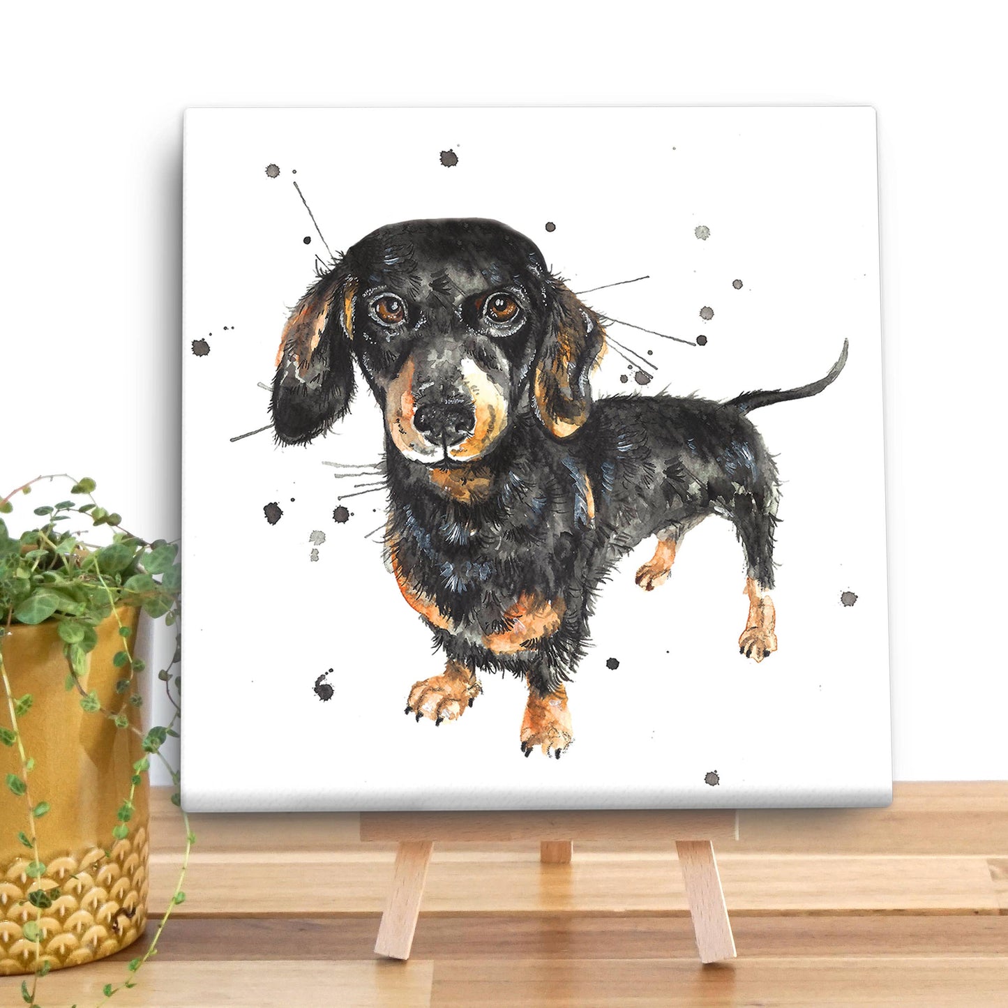 Splatter Sausage Mini Canvas KW72V