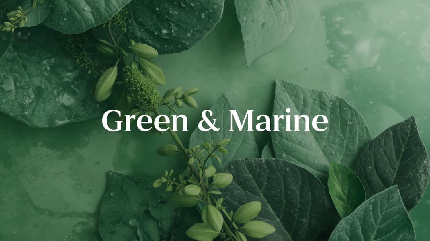 Marine & Coastal