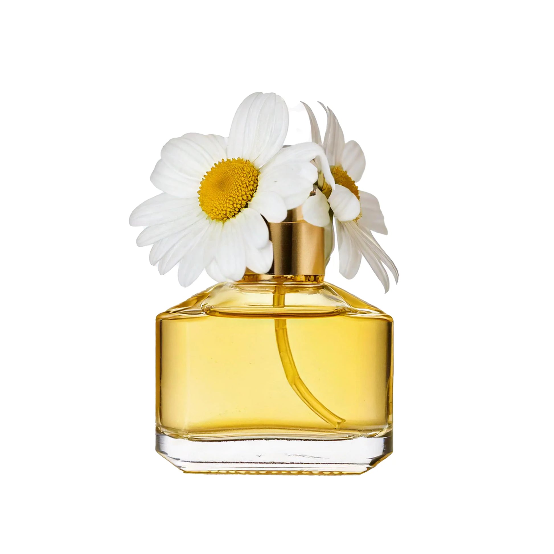 Perfume bottle with white flowers on a white background