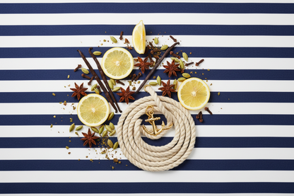 The Male wax melt scent - fresh mint, citrus, warm spice, vanilla and soft musk with nautical styling